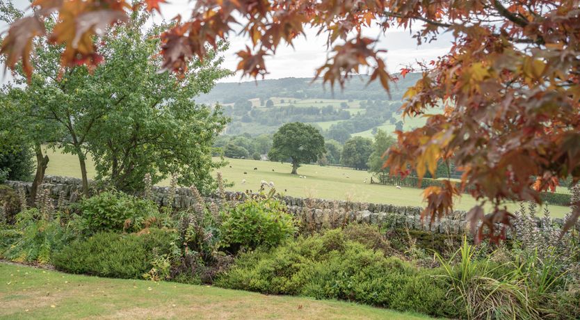 Photo of Blooming Rose