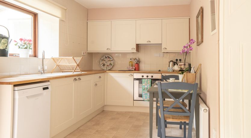 Photo of Blooming Rose