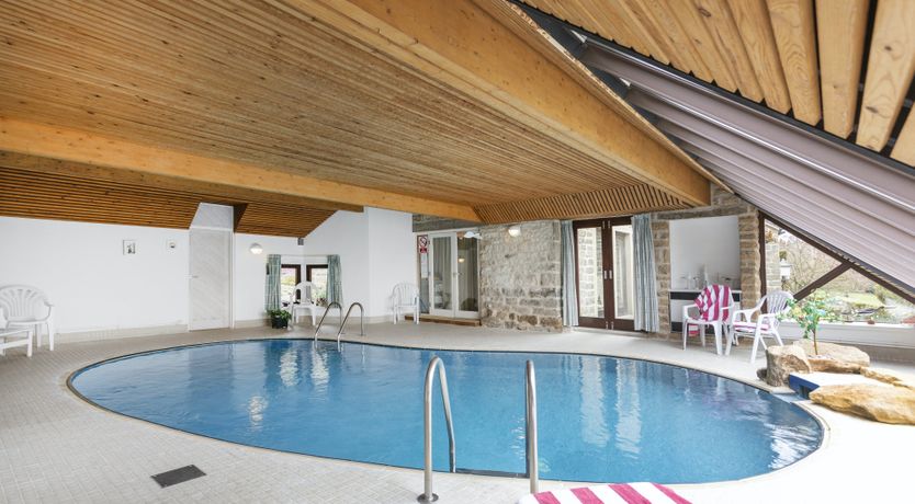 Photo of Blooming Rose