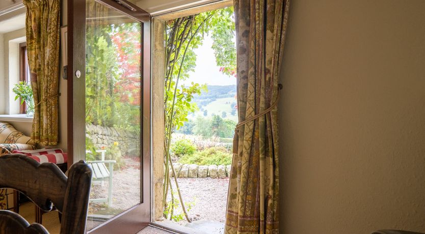 Photo of Blooming Rose