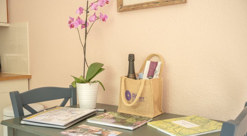 Photo of Blooming Rose