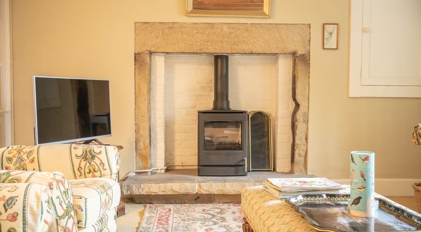 Photo of Blooming Rose