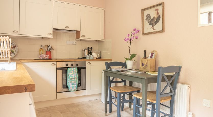 Photo of Blooming Rose