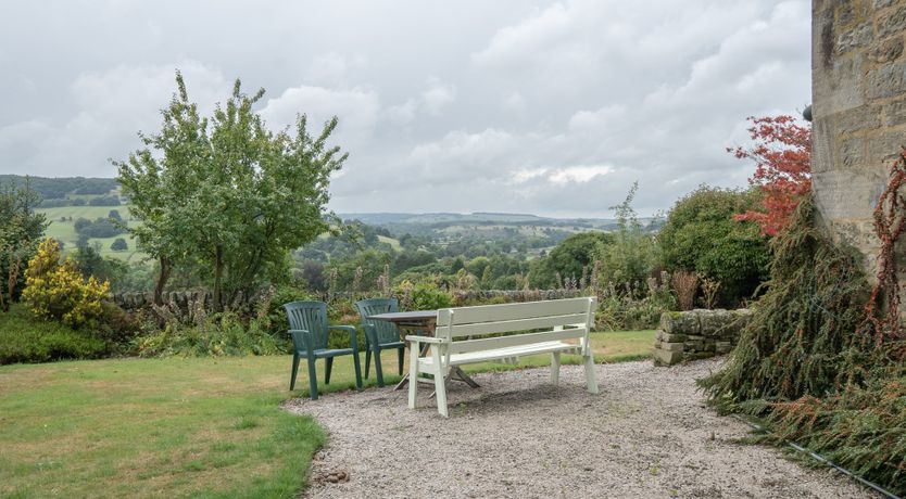 Photo of Blooming Rose