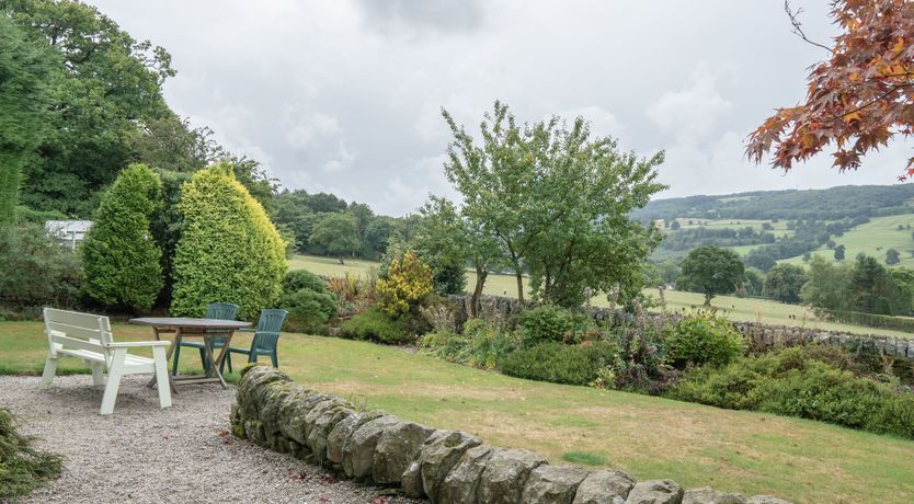 Photo of Blooming Rose