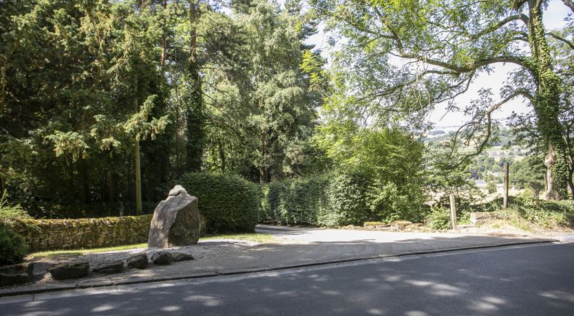 Photo of Blooming Rose