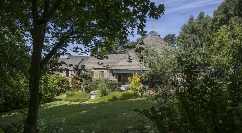 Photo of Blooming Rose