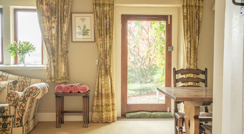 Photo of Blooming Rose