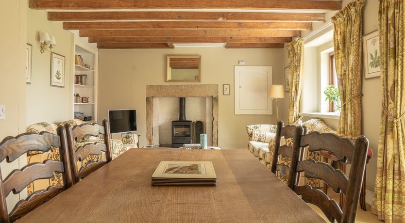 Photo of Blooming Rose