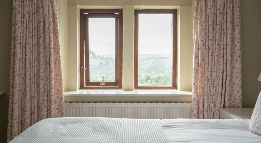 Photo of Blooming Rose