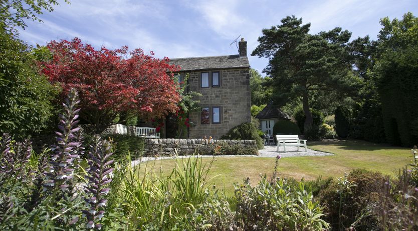 Photo of Blooming Rose