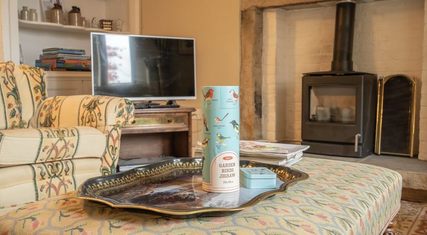 Photo of Blooming Rose