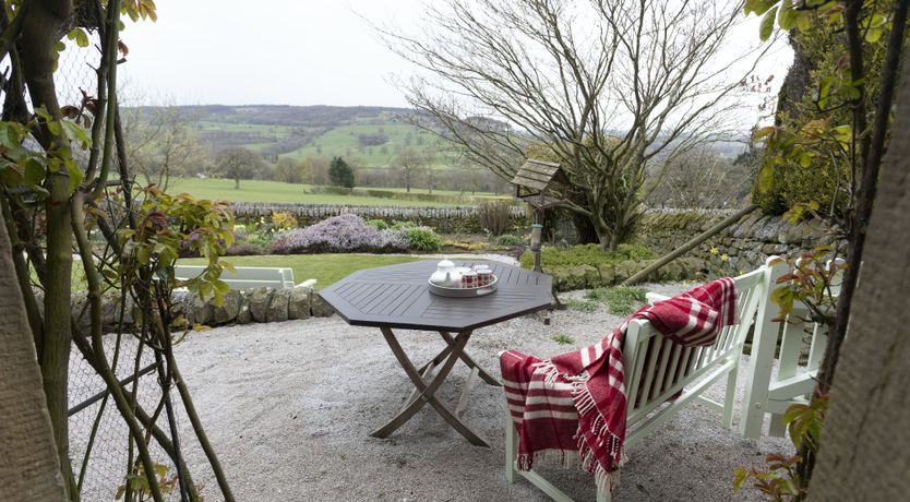 Photo of Blooming Rose