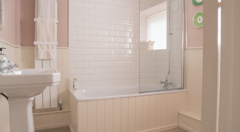 Photo of Blooming Rose