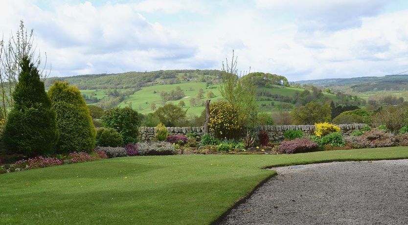 Photo of Blooming Rose