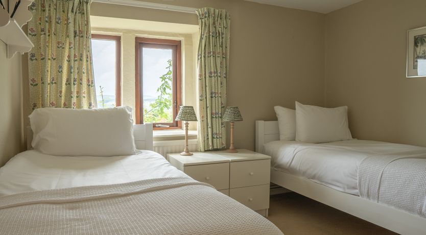 Photo of Blooming Rose