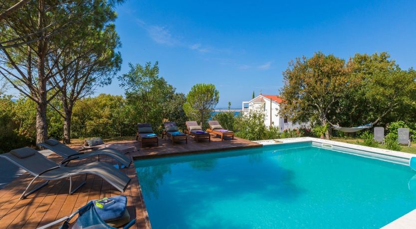 Photo of Sacred Blue