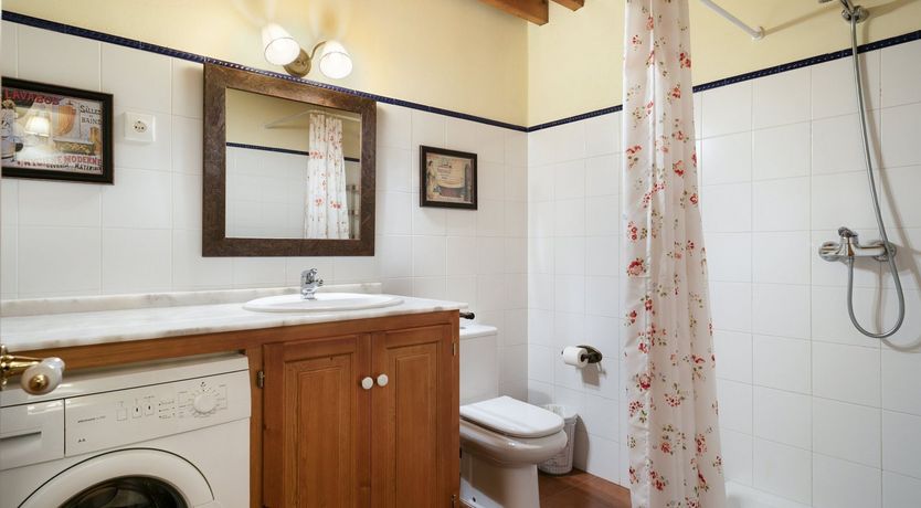 Photo of Pyrenean Lily