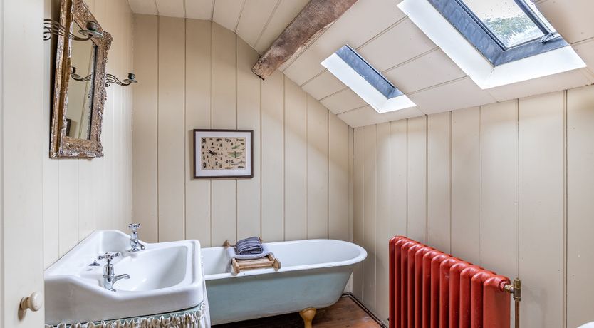 Photo of Mountain Mystique