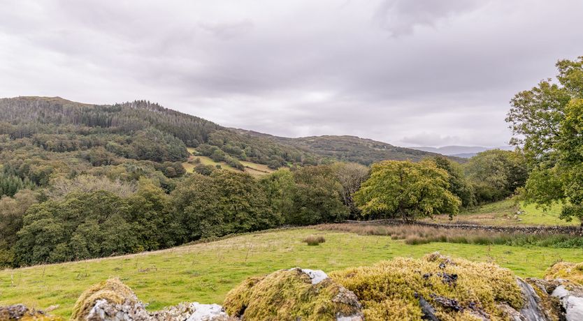 Photo of Mountain Mystique