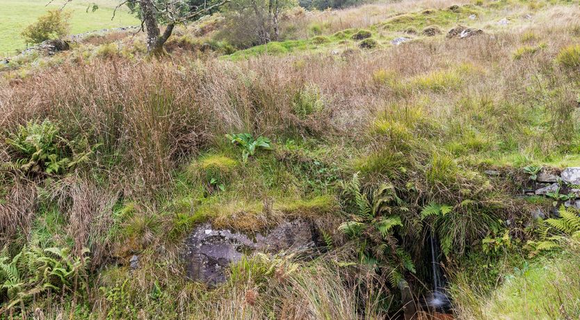 Photo of Mountain Mystique