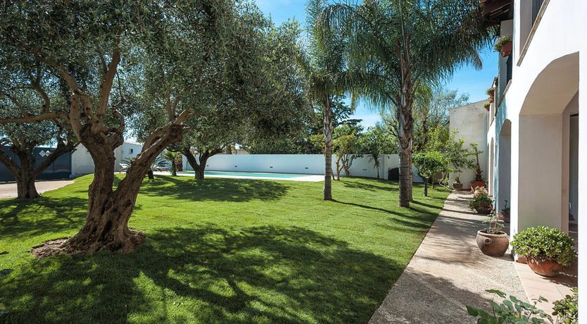 Photo of Nestled Amongst The Trees