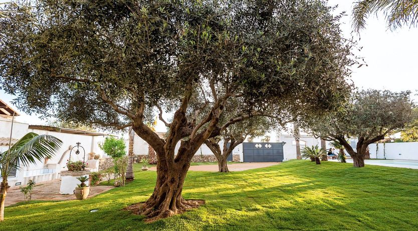 Photo of Nestled Amongst The Trees