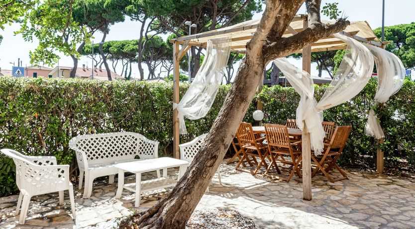 Photo of Seaside & Pine Forest