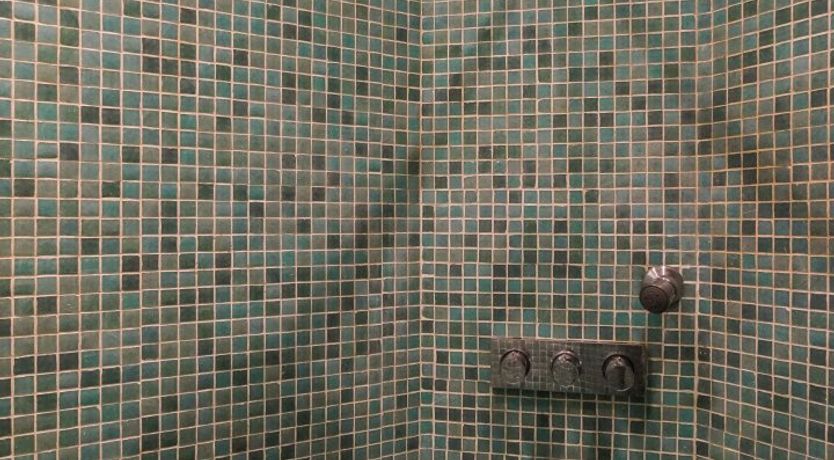 Photo of The Seamstress' Daydream