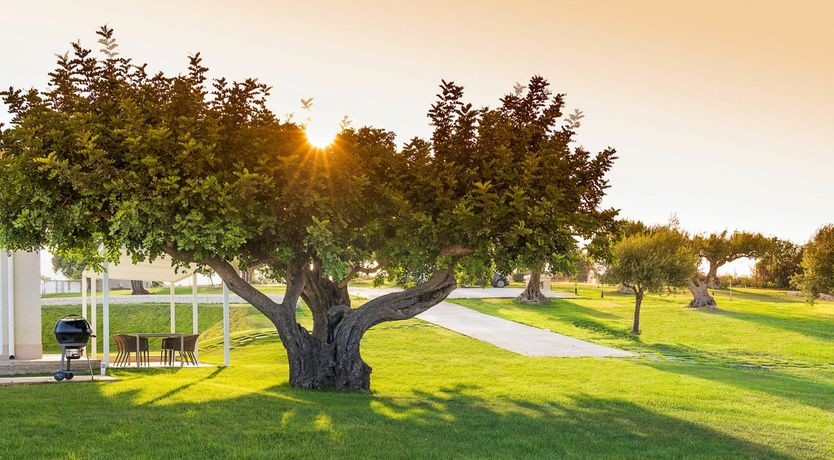 Photo of Villa Neptune