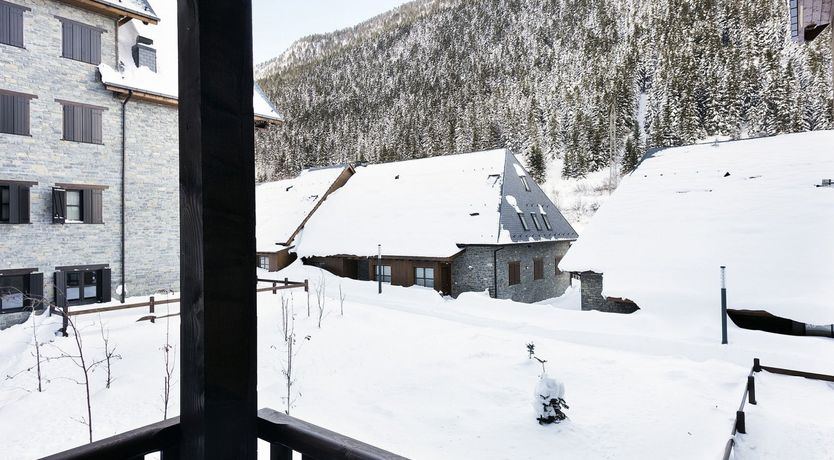 Photo of Polar Bear Prints