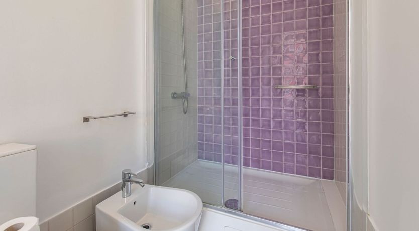 Photo of The Marquis of Abrantes