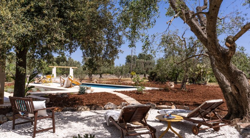 Photo of White Crocuses