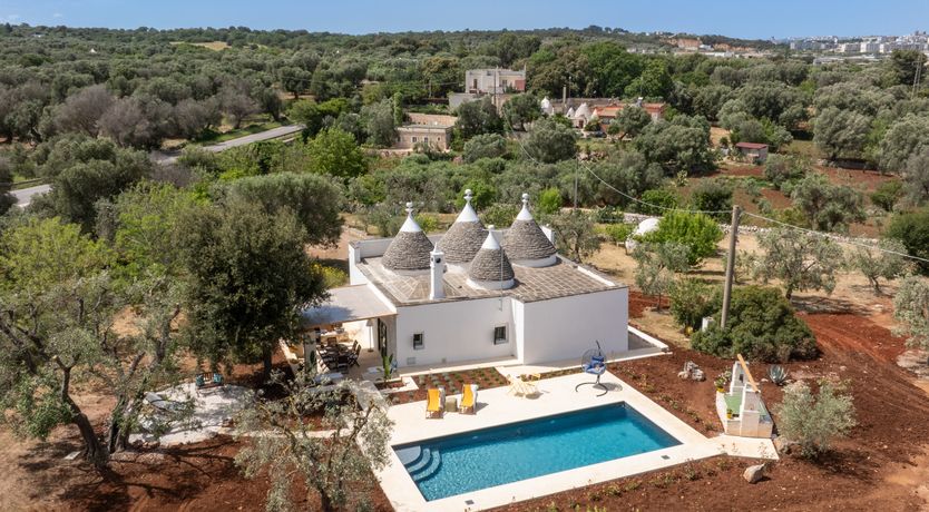 Photo of White Crocuses