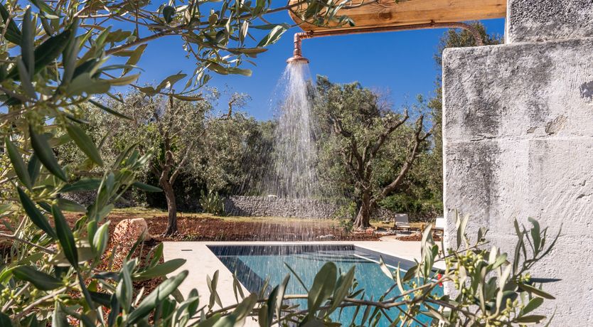 Photo of White Crocuses