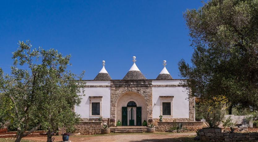 Photo of White Crocuses