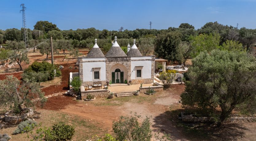 Photo of White Crocuses