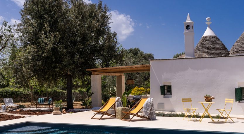 Photo of White Crocuses