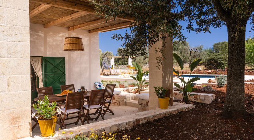 Photo of White Crocuses