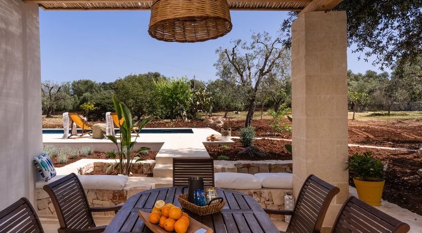 Photo of White Crocuses