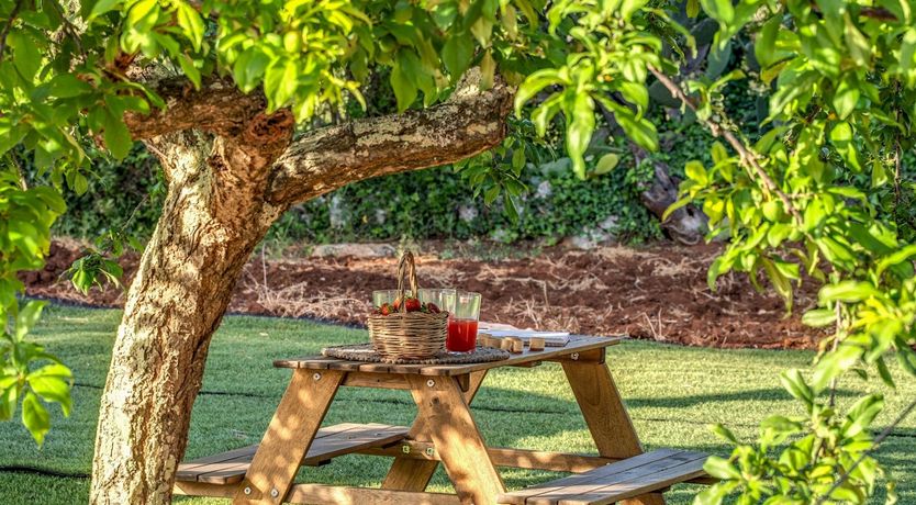 Photo of The Olive Cove