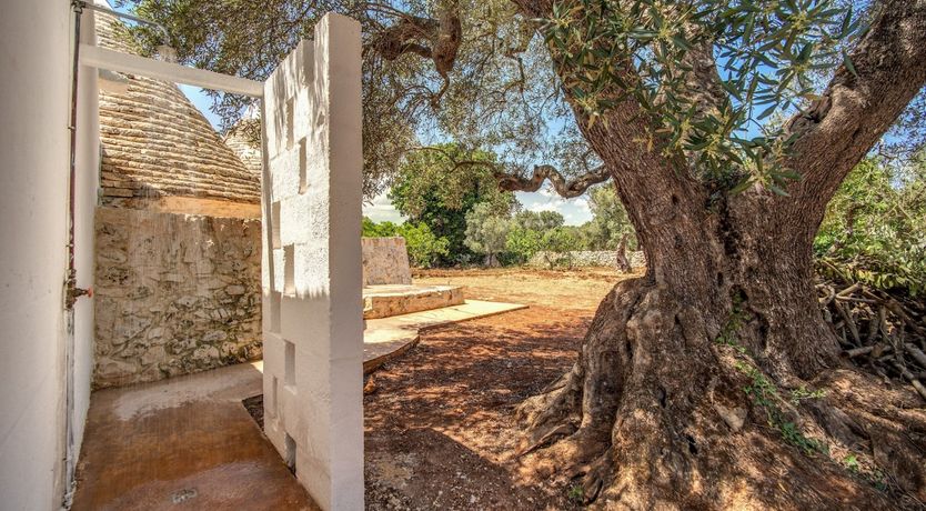 Photo of The Olive Cove