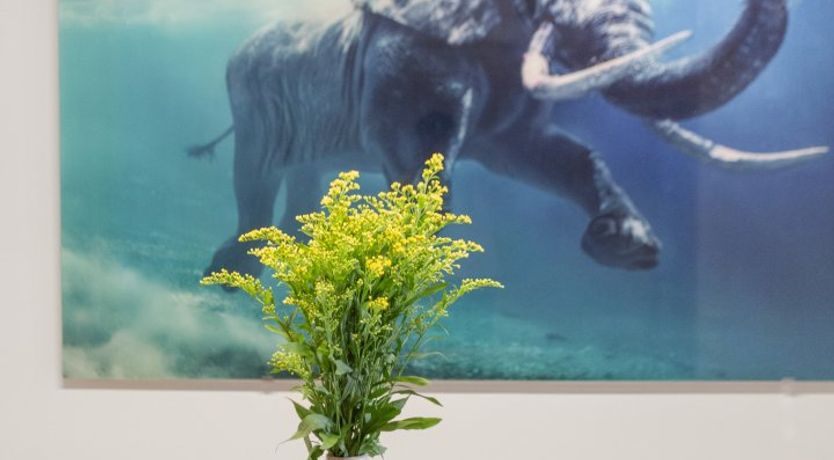 Photo of True Genius