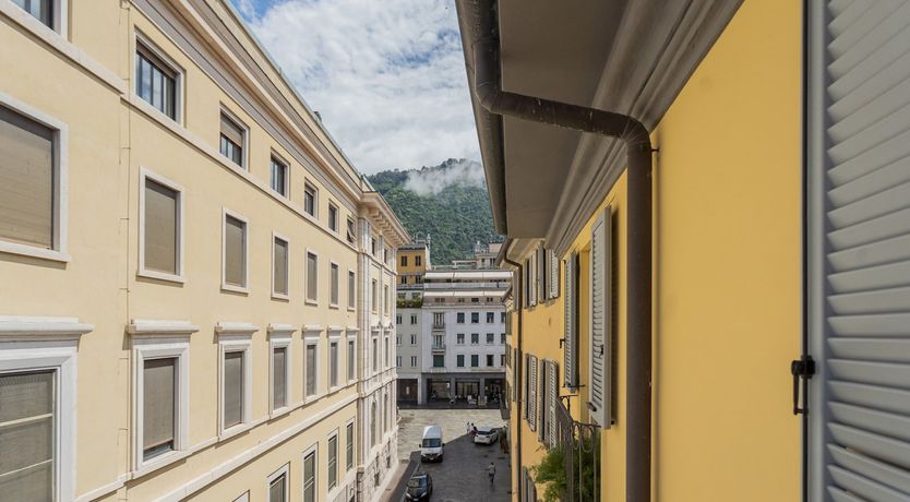 Photo of Sunflower Yellow