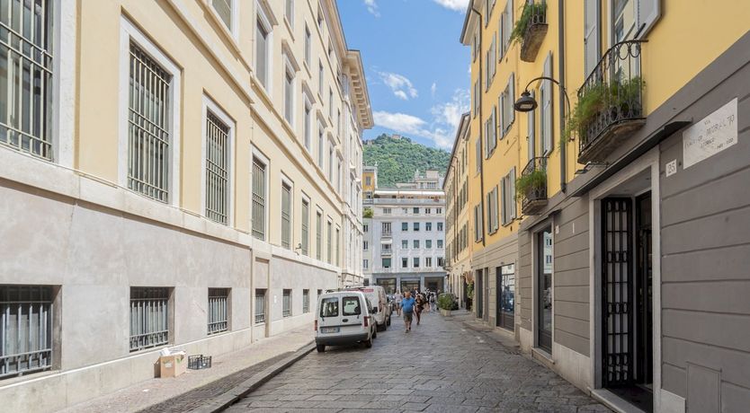 Photo of Sunflower Yellow