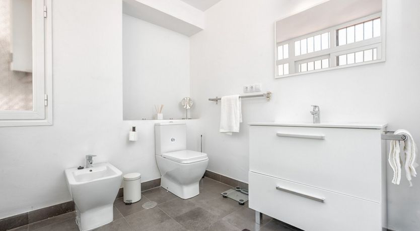 Photo of Tall Glass of Water