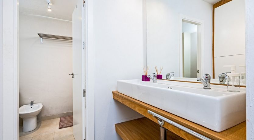 Photo of Tall Glass of Water