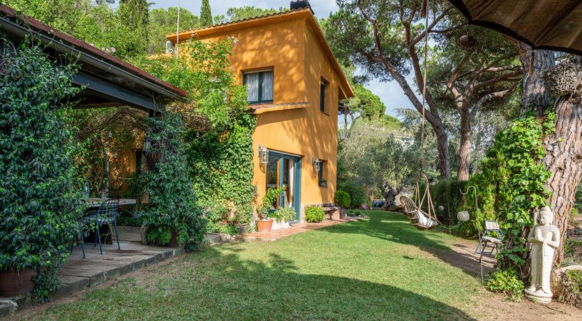 Photo of These Green Hills