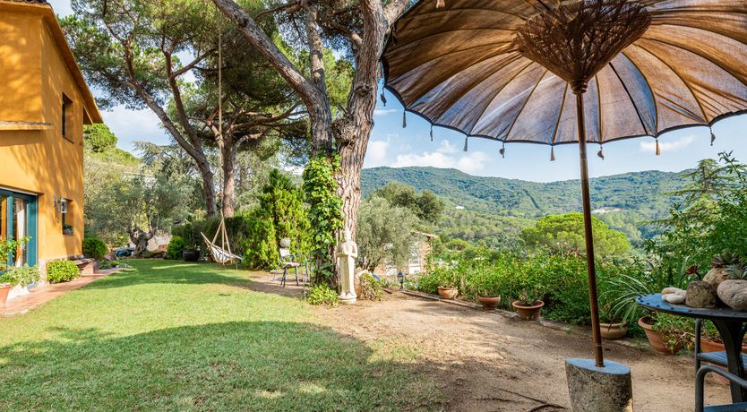 Photo of These Green Hills