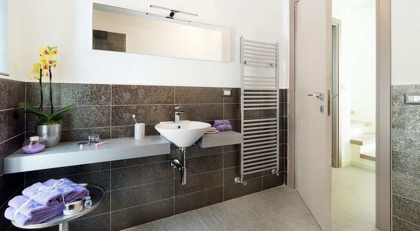 Photo of The Blue Muse